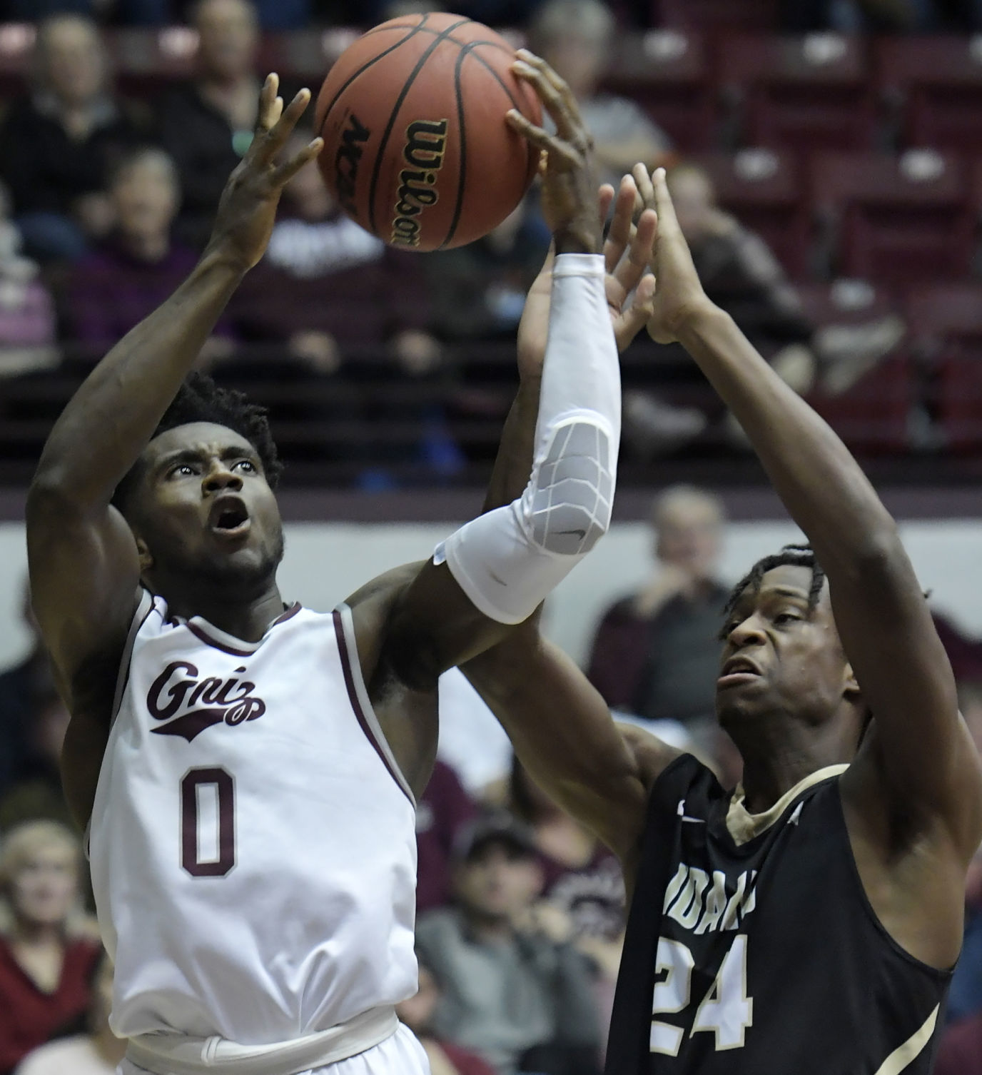 Griz v Idaho-3-tm.jpg